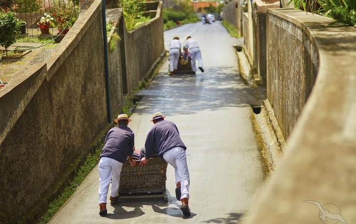 Schlittenfahrer auf Madeira