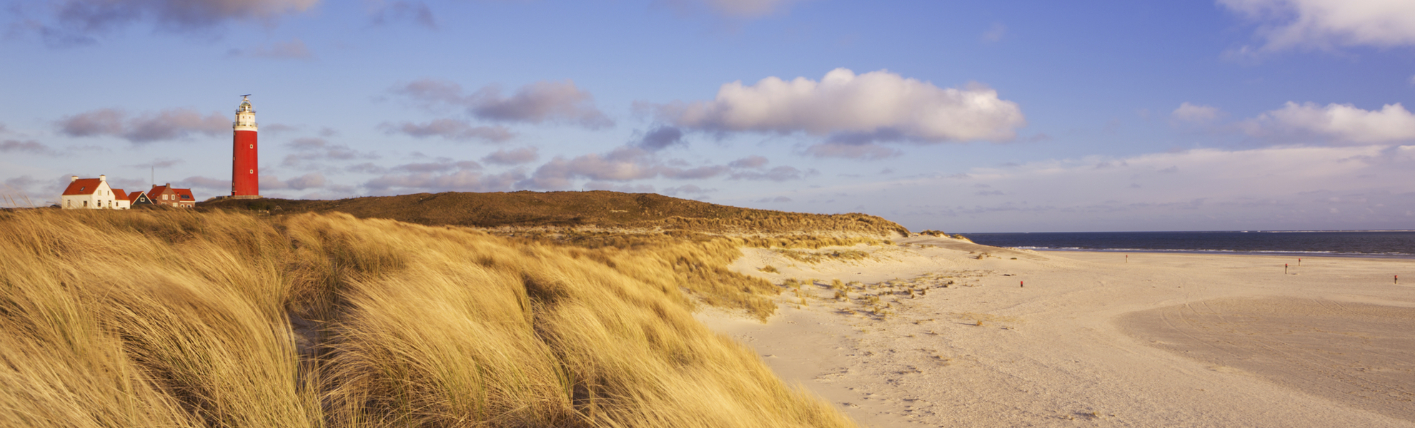 Dünenlandschaft auf Texel