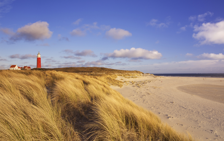 Dünenlandschaft auf Texel