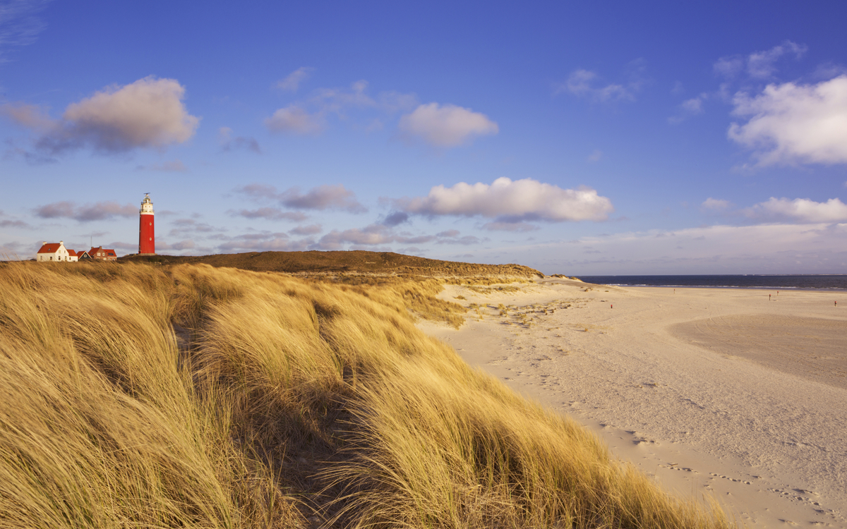 Dünenlandschaft auf Texel