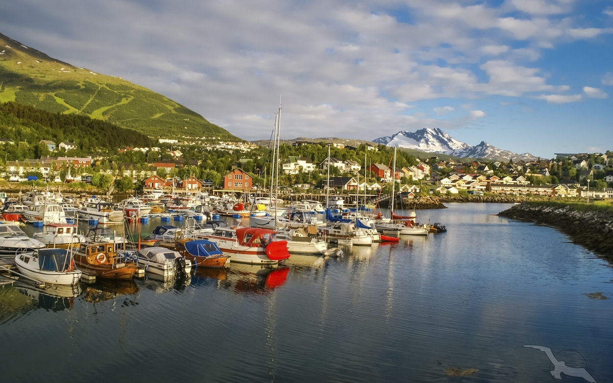 Hafen und Hinterland von Narvik, Norwegen