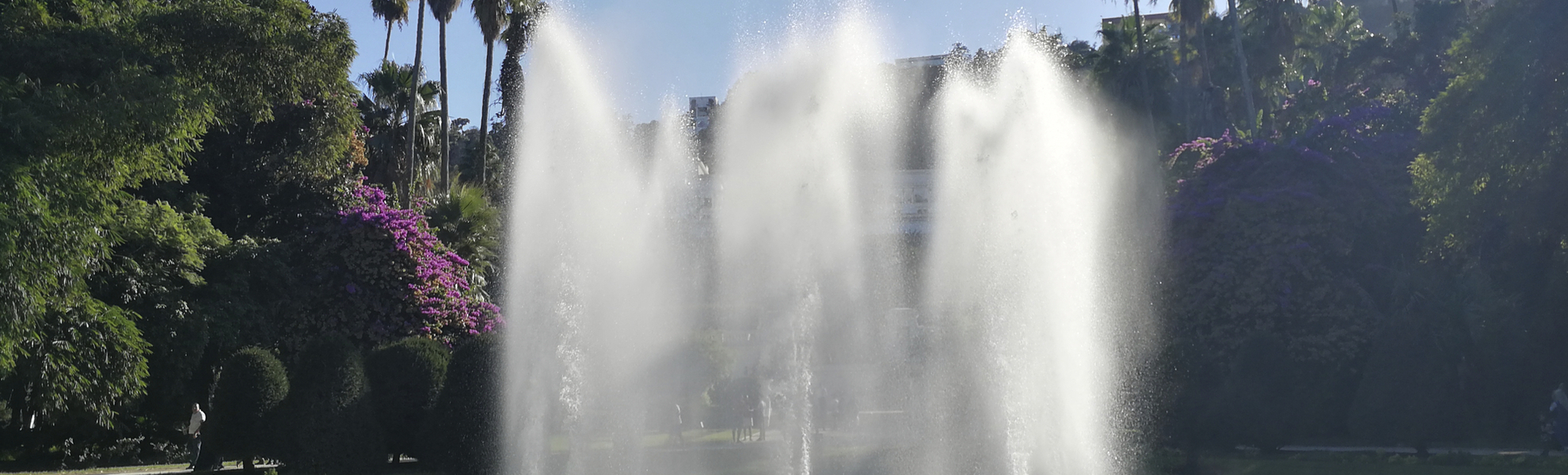 Botanischer Garten Hamma in Algiers, Algerien