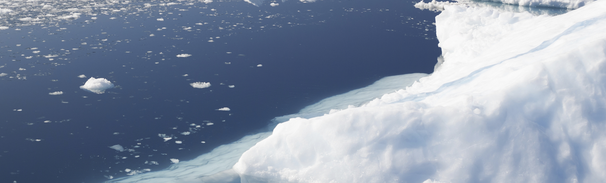 Eisberge in Grönland