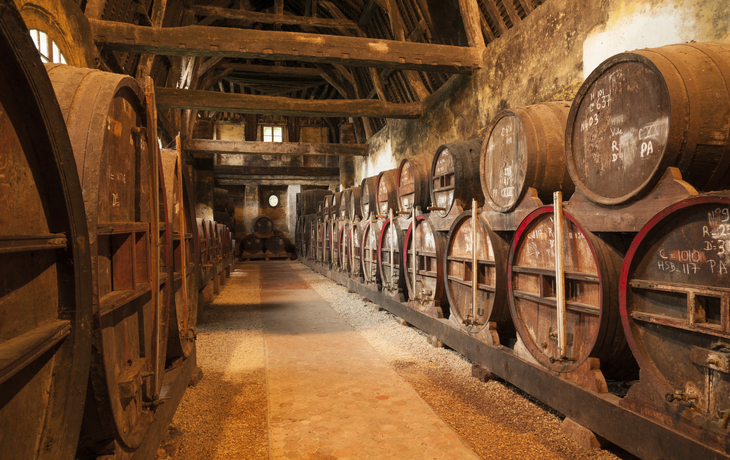 Traditionelles Getränk Calvados in Eichenfässern in der Stadt Le Havre, Frankreich