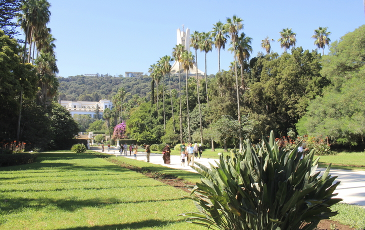 Algiers Gärten