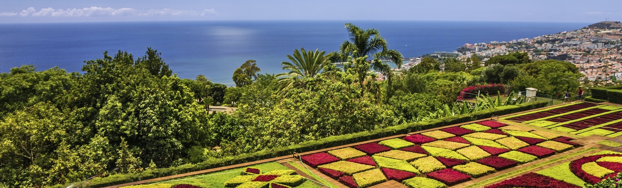 blühende Beete im botanischen Garten von Funchal auf Madeira