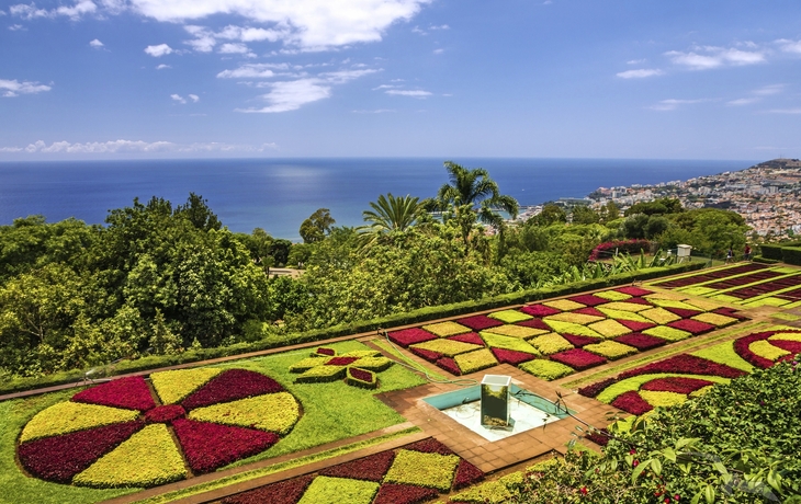 blühende Beete im botanischen Garten von Funchal auf Madeira