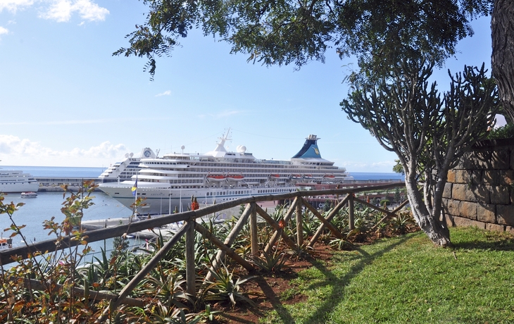 MS Artania in Funchal