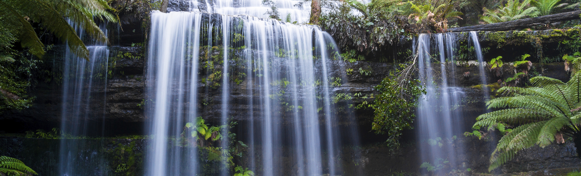 Russell Wasserfälle in Tasmanien, Australien