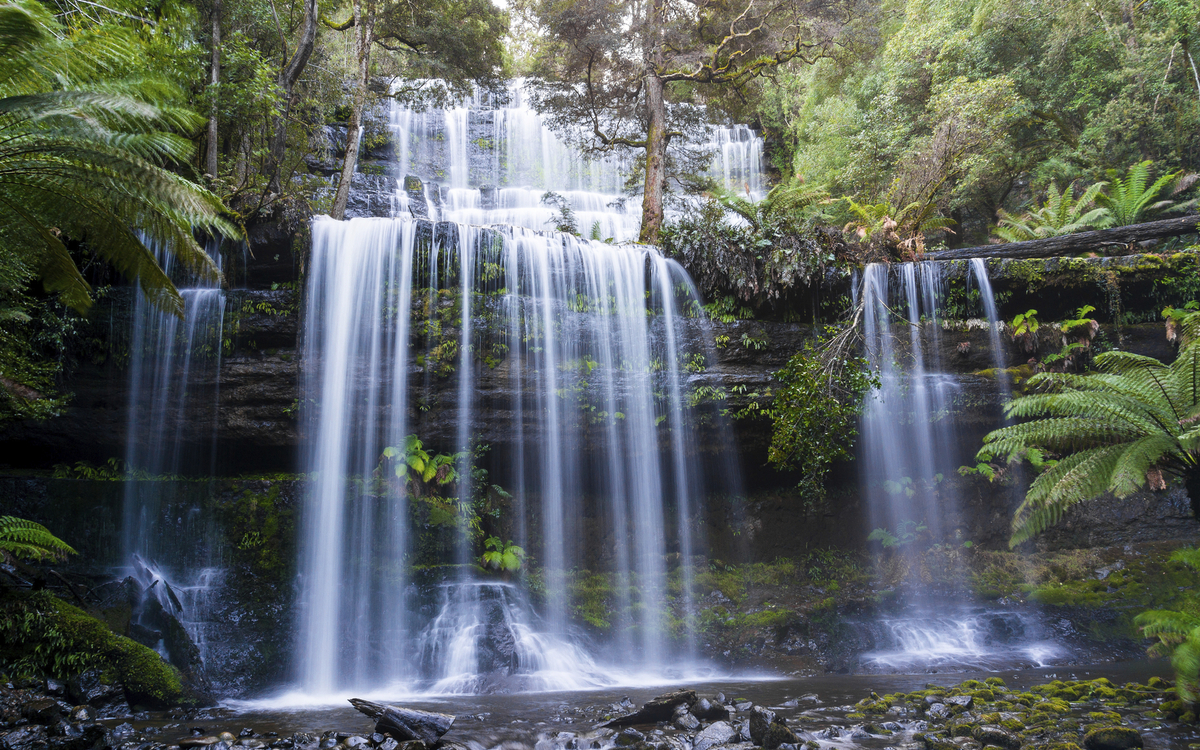 Russell Wasserfälle in Tasmanien, Australien