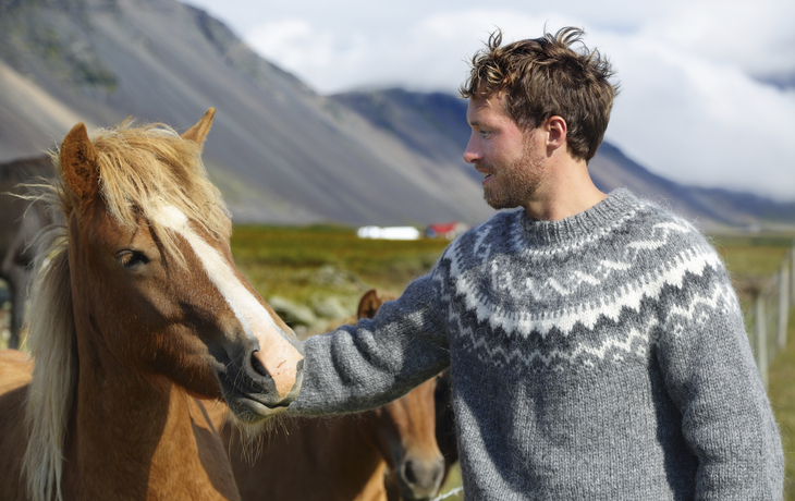 Islandpferd auf Island