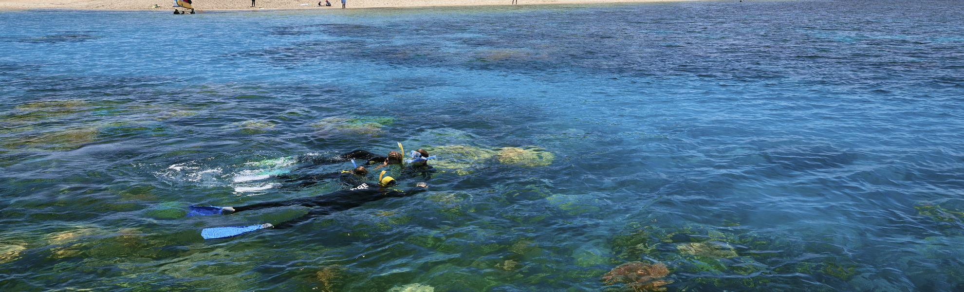 Port Douglas, Great Barrier Reef