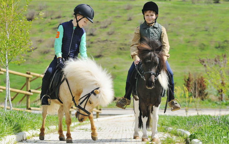 Kinder lieben die kleinen Shetland-Ponies