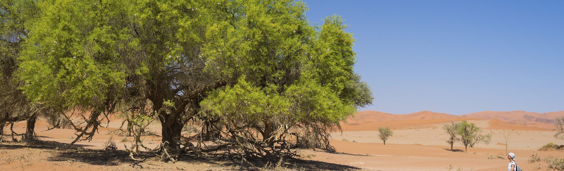 Naukluft Park, Namibia