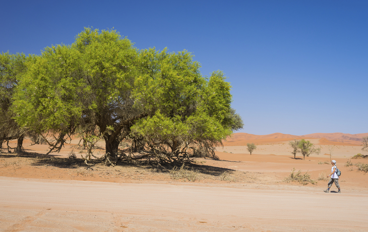 Naukluft Park, Namibia
