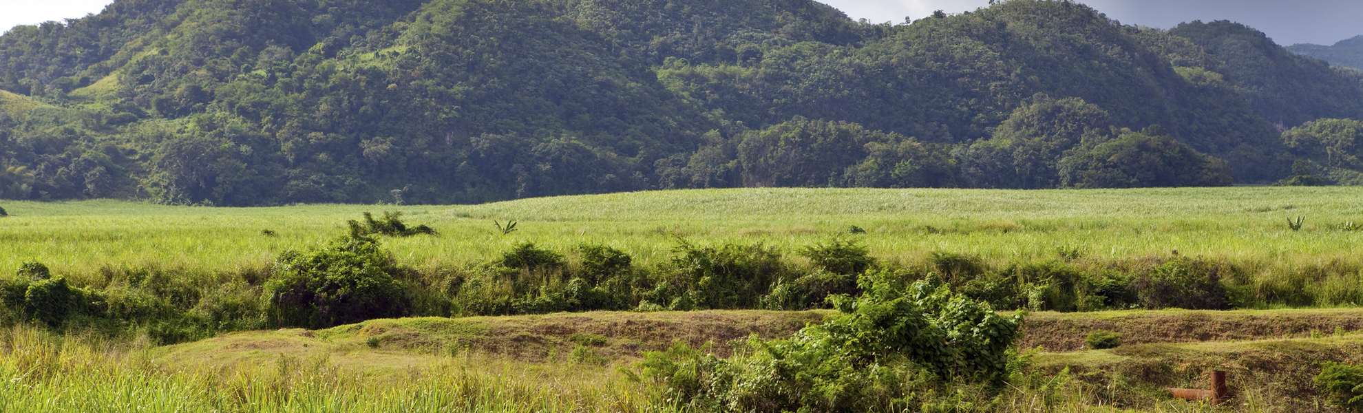 Landschaft von Nassau, Jamaika