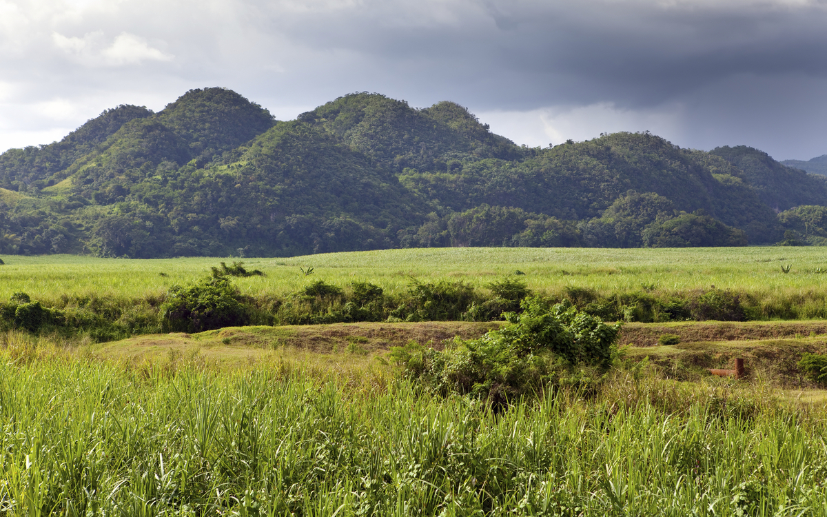 Landschaft von Nassau, Jamaika