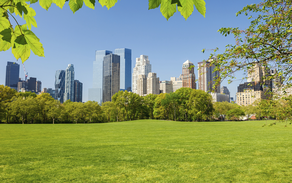 Central Park Skyline, USA
