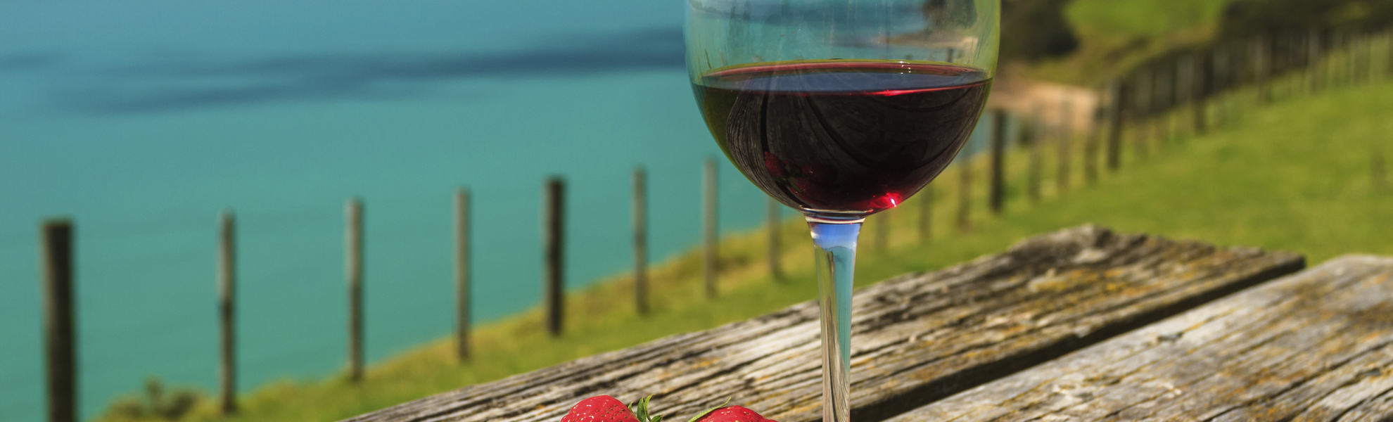 Weinglas an der Küste von Neuseeland