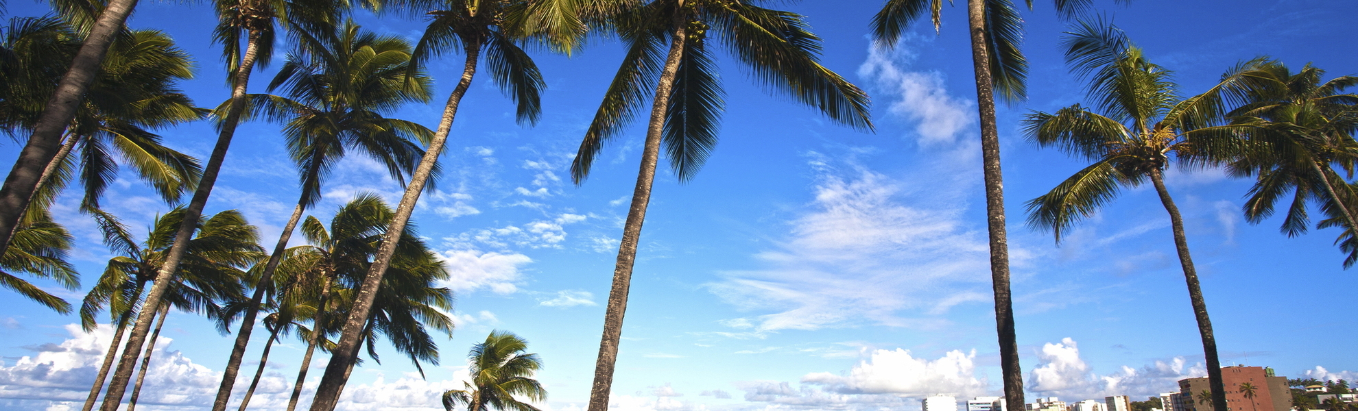 Barra Strand in Salvador da Bahia, Brasilien