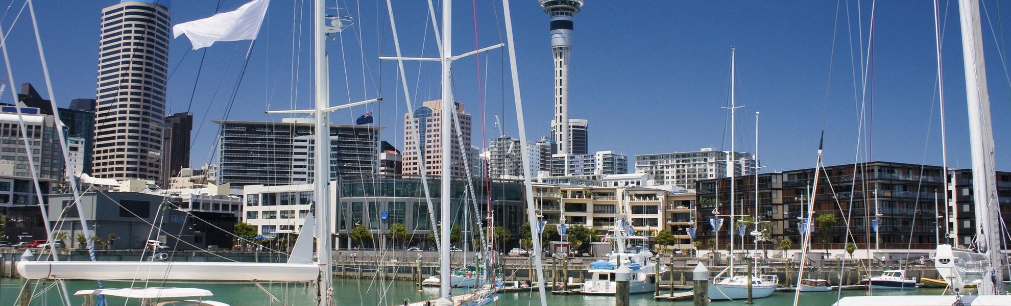 Segelboote vor der Skyline von Auckland, Neuseeland