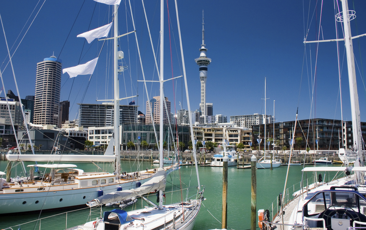 Segelboote vor der Skyline von Auckland, Neuseeland