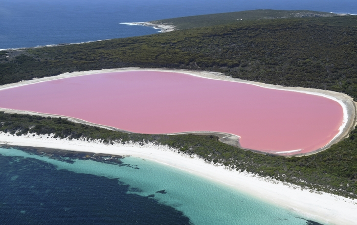 Pink Lake Salzsee in Esperance, Australien