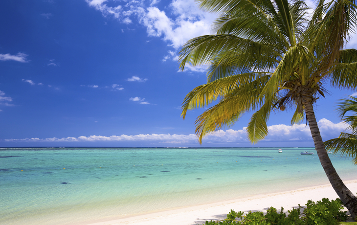 Paradiesischer Strand