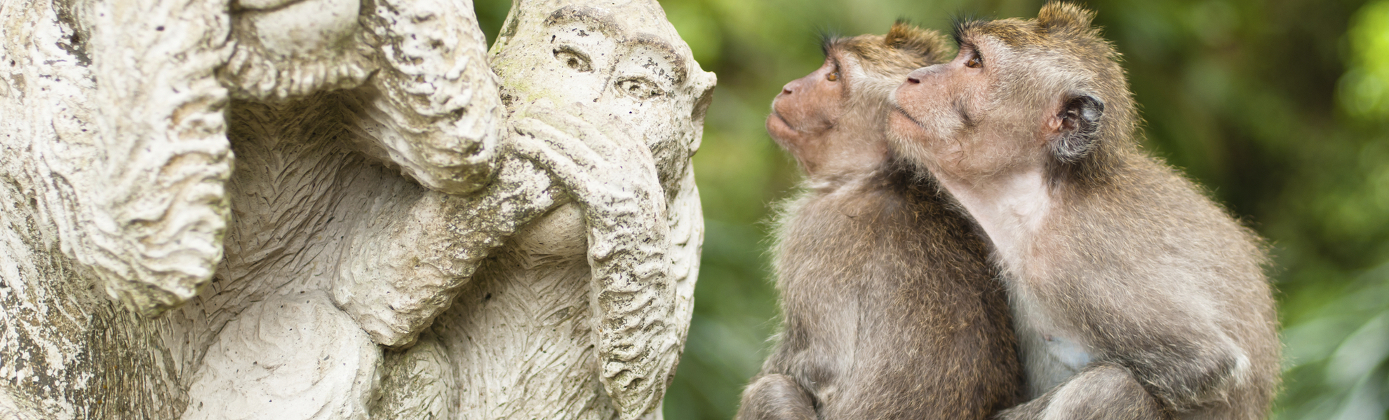 Affen neben Statue in Ubud auf Bali, Indonesien