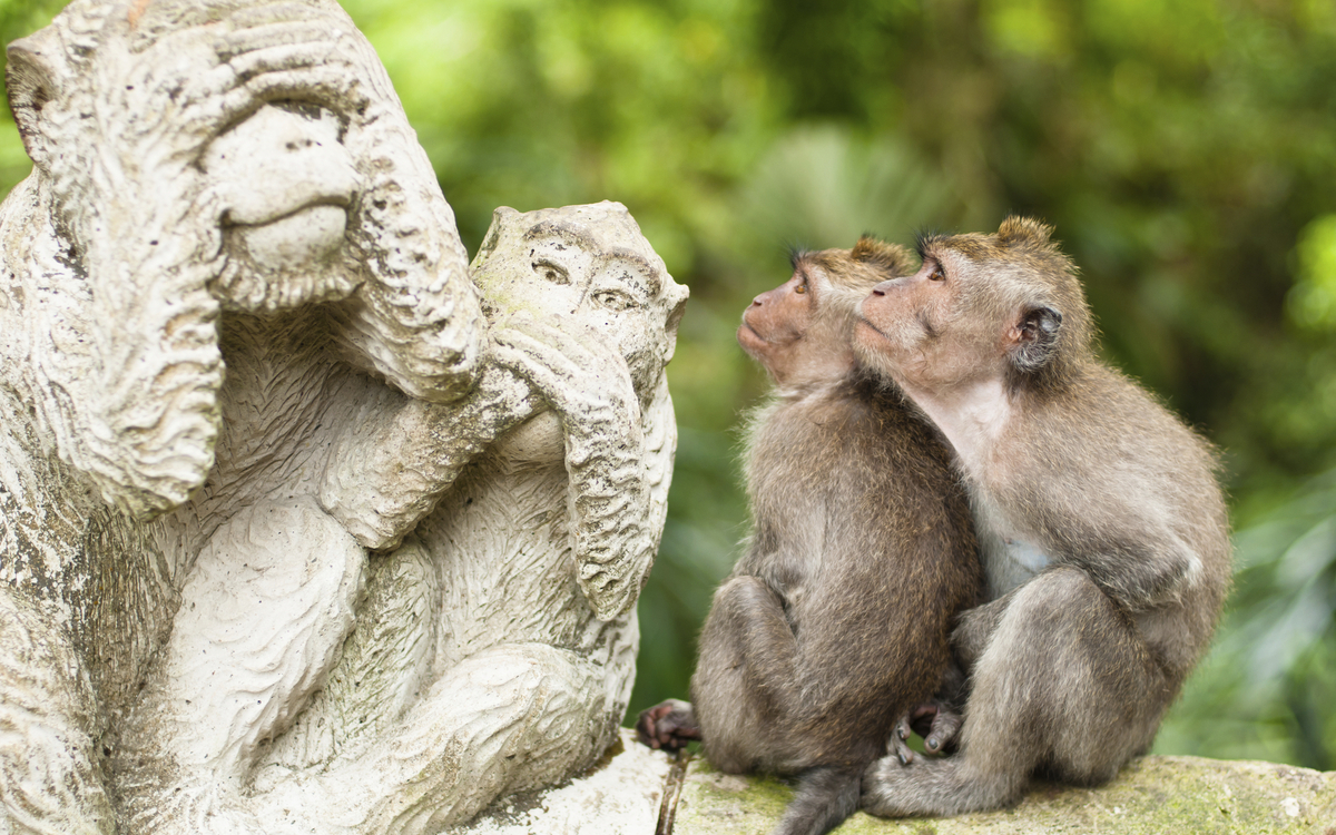 Affen neben Statue in Ubud auf Bali, Indonesien