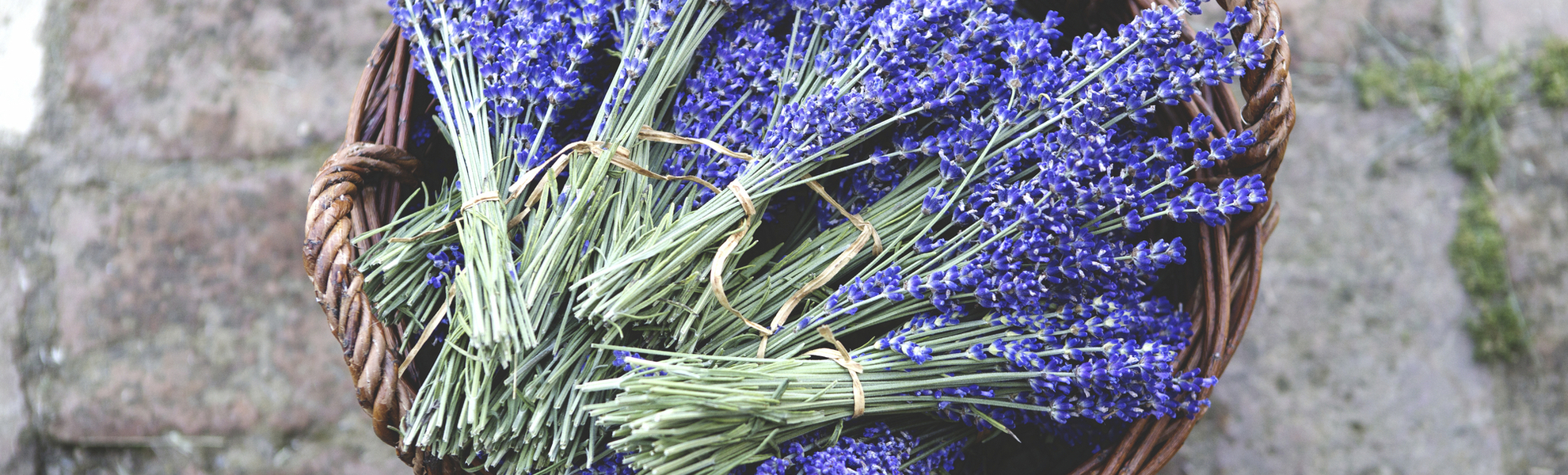 Korb mit getrocknetem Lavendel