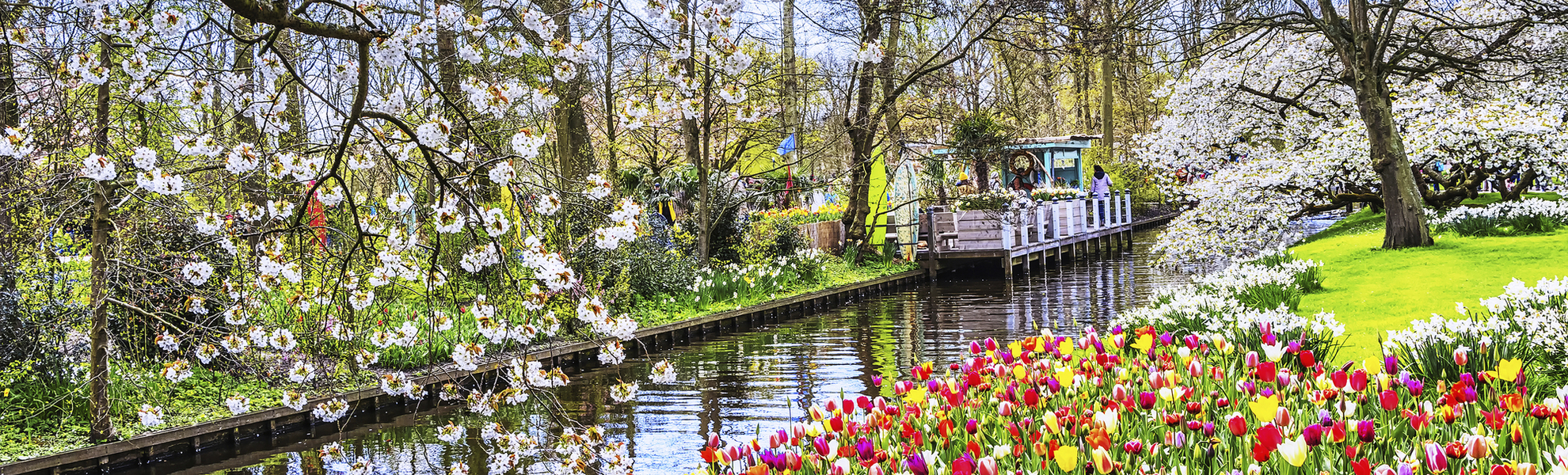 Tulpen auf dem Keukenhof, Niederlande