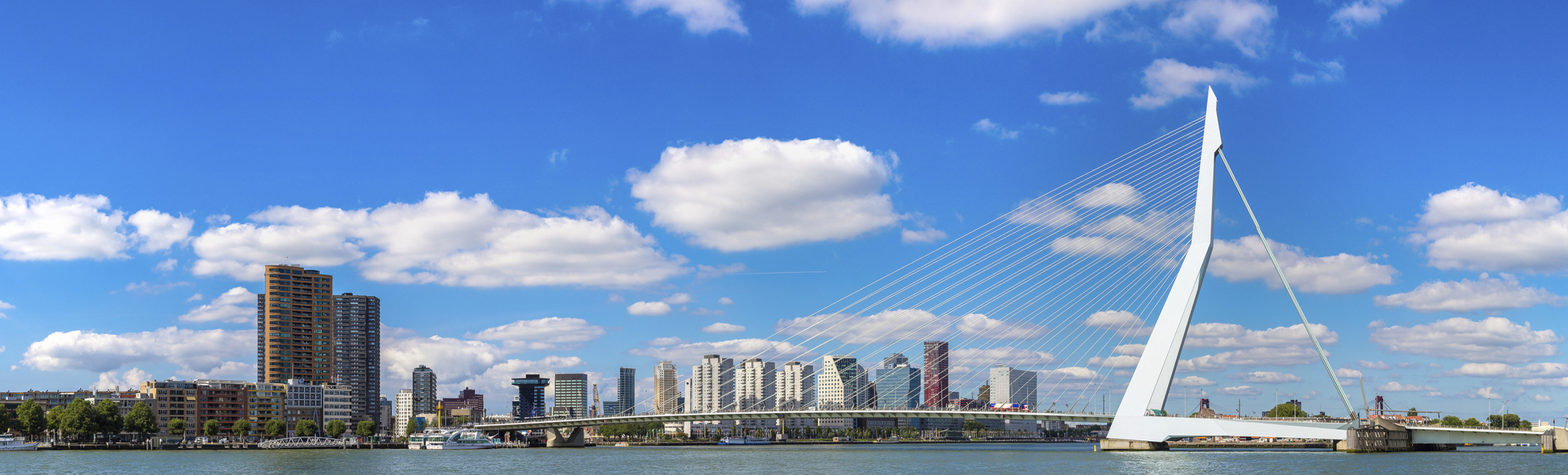 Rotterdams modernes Panorama mit Erasmusbrücke