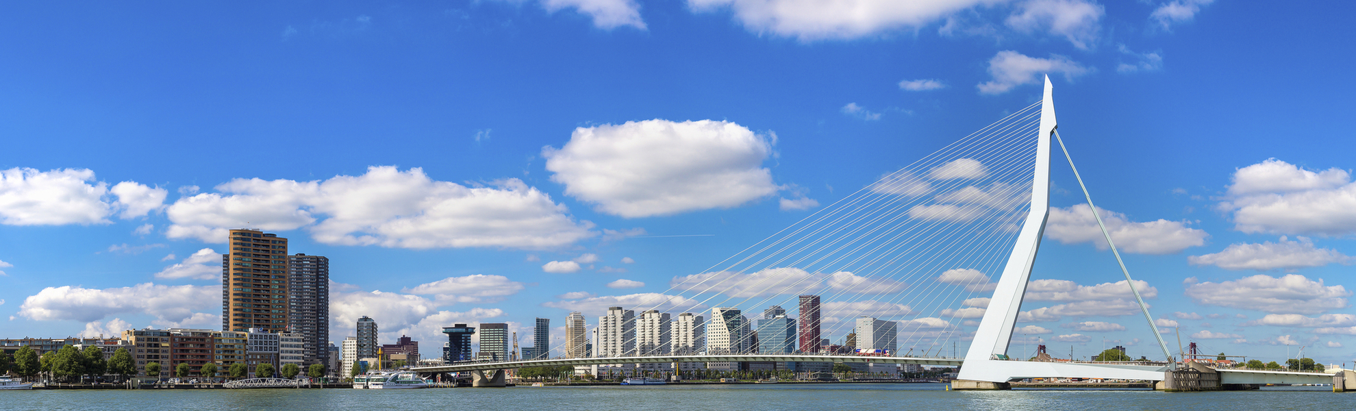 Rotterdams modernes Panorama mit Erasmusbrücke