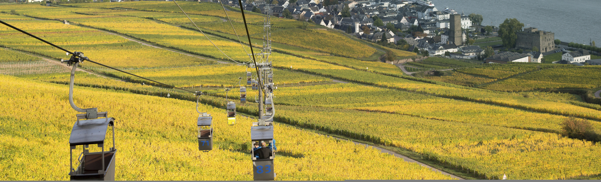 Seilbahn ueber den Weinbergen von Ruedesheim, Deutschland