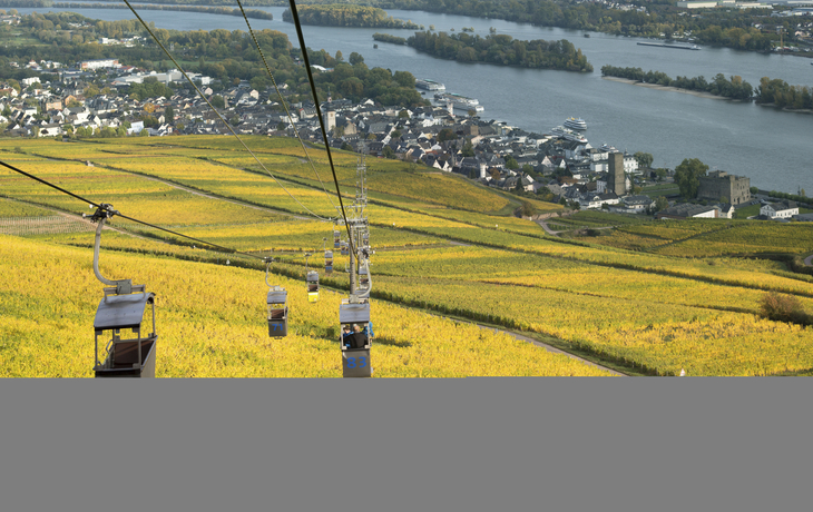 Seilbahn ueber den Weinbergen von Ruedesheim, Deutschland