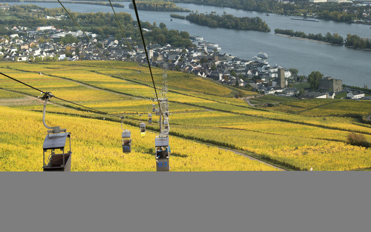 Seilbahn ueber den Weinbergen von Ruedesheim, Deutschland