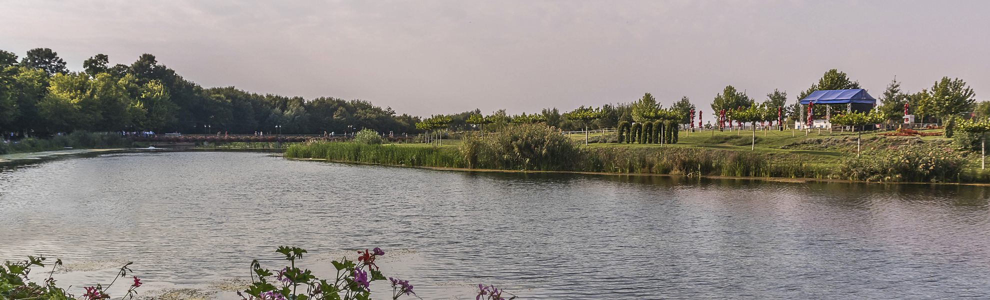 Nationalpark Comana, Rumaenien