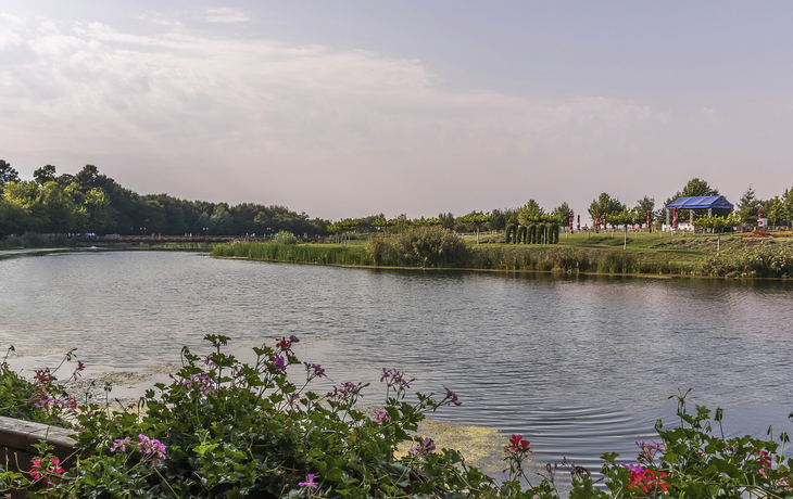 Nationalpark Comana, Rumaenien