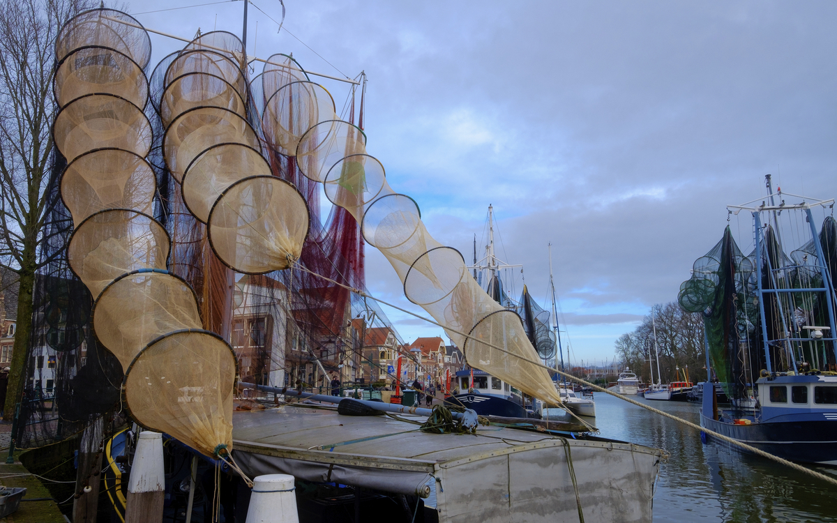 Fischernetze in Hoorn, Niederlande
