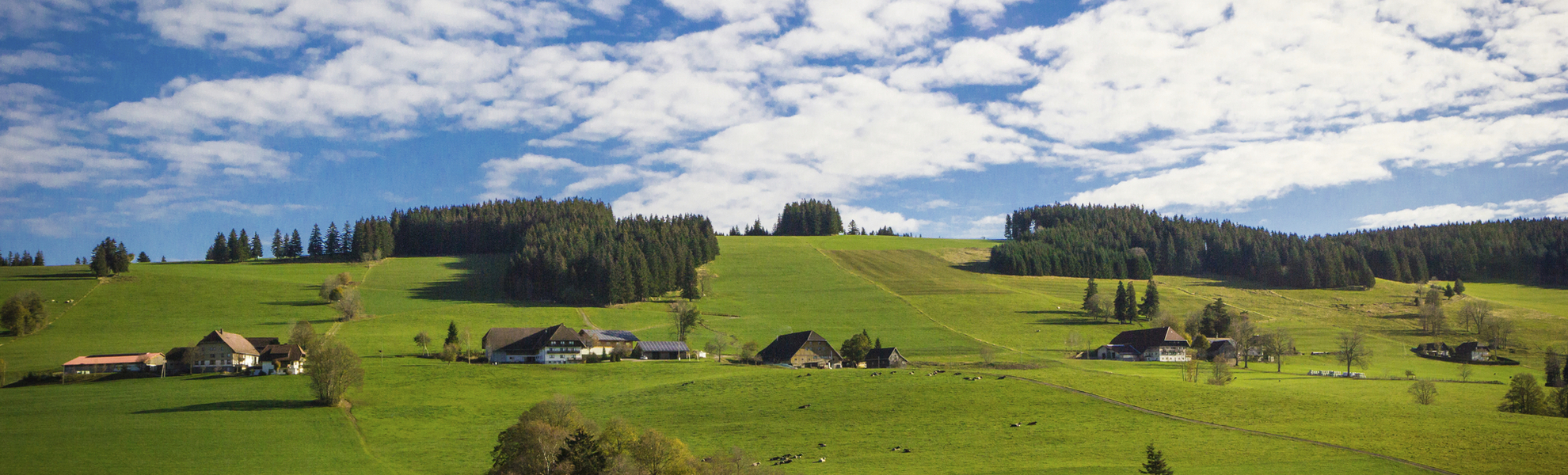 Landschaft bei Breisach, Deutschland