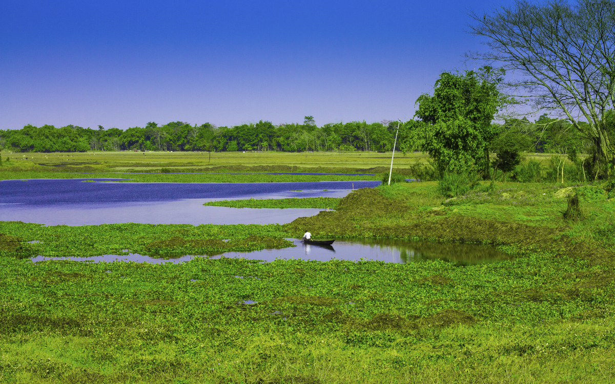 Küste der Majuli Insel, Indien