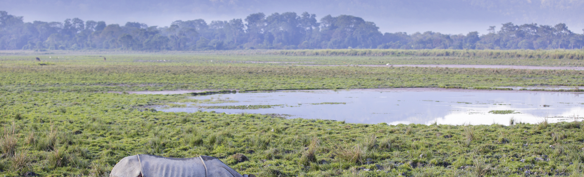 Kaziranga Nationalpark, Indien