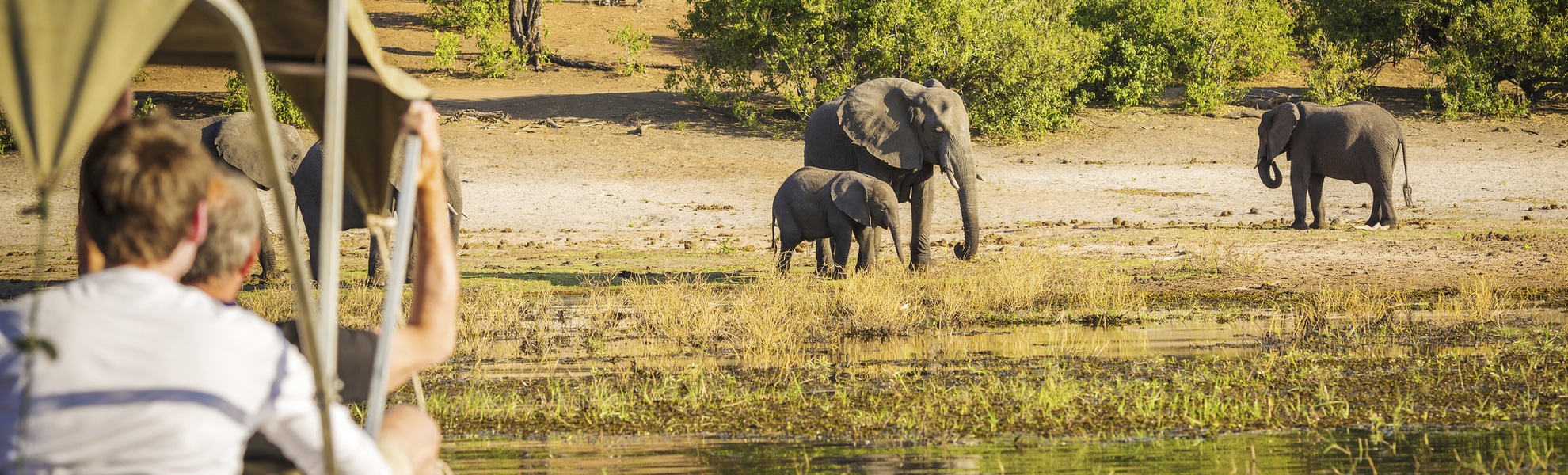 Wassersafari im Chobe Nationalpark