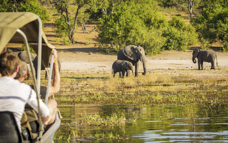 Wassersafari im Chobe Nationalpark