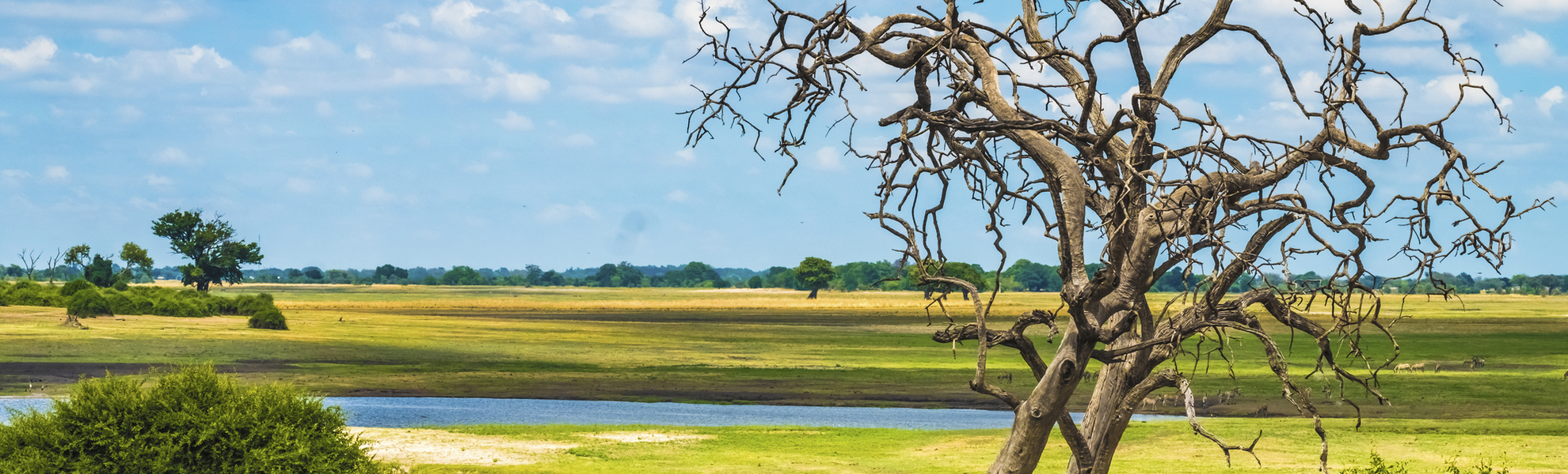 Chobe Nationalpark