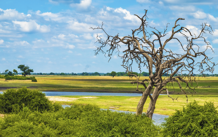 Chobe Nationalpark