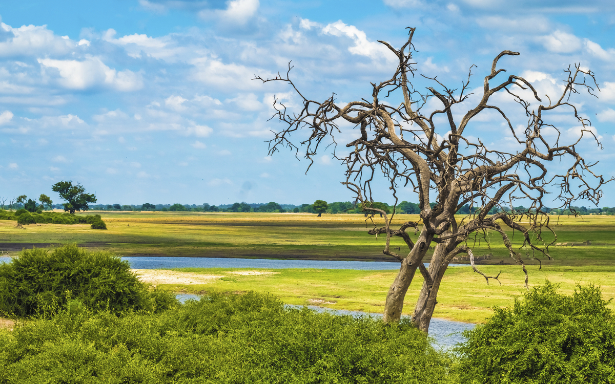 Chobe Nationalpark