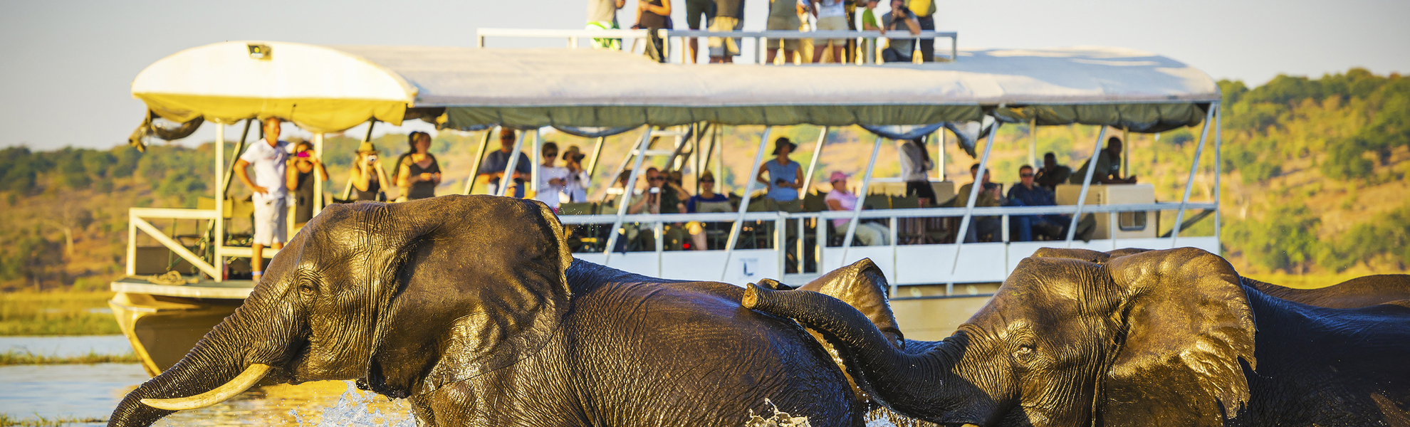 Wassersafari im Chobe Nationalpark