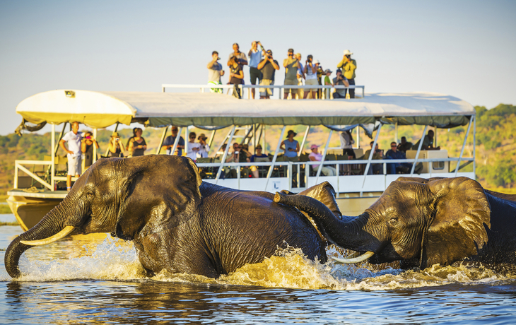 Wassersafari im Chobe Nationalpark